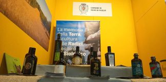 “Olio Capitale”, 11 le aziende olearie da Ruvo di Puglia