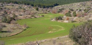 Bio-Distretto delle Lame: a Ruvo il primo incontro per tutelare agricoltura biologica e biodiversità